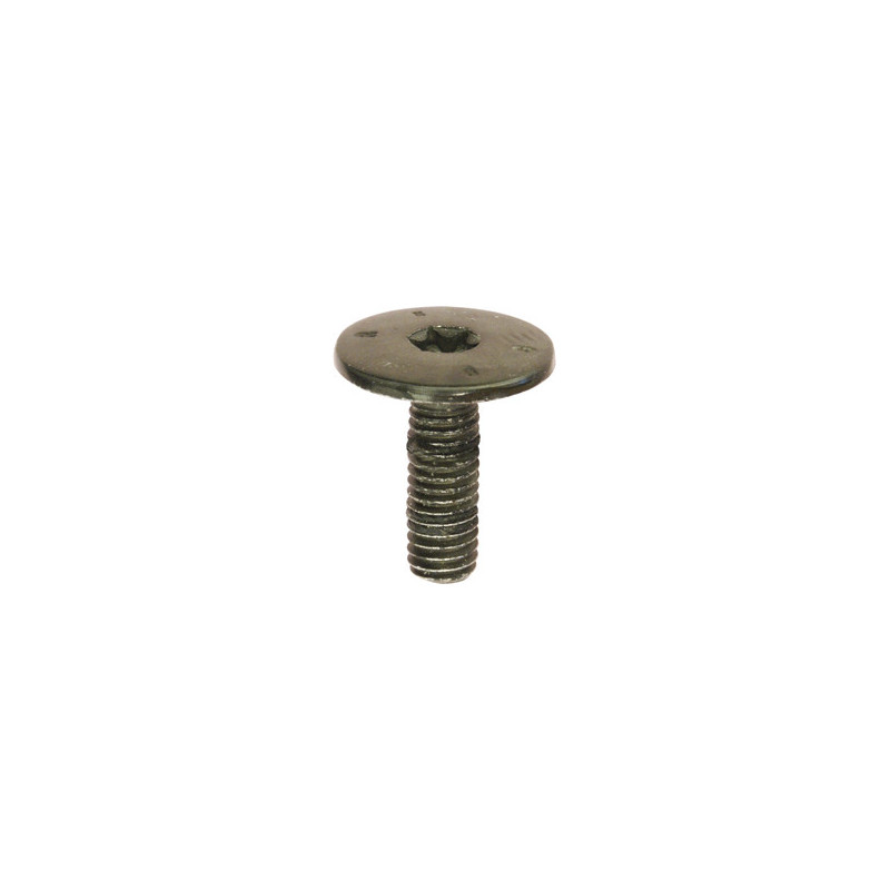 SCHROEF MET BREDE GEWELFDE CILINDRISCHE ZESKANTKOP ZWART ZINK  M6-1.00 X 18 mm PORTIERSLUITING