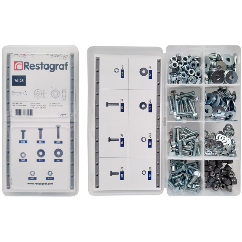 MINIKOFFER MET METAALSCHROEVEN MET ZESKANTKOP CL8.8 DIN 933 EN MOEREN CL8 DIN 934 EN SLUITRINGEN  Ø 6 mm