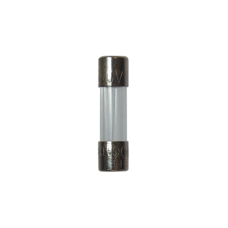 FUSIBLE VERRE 10A 5 X 20 mm