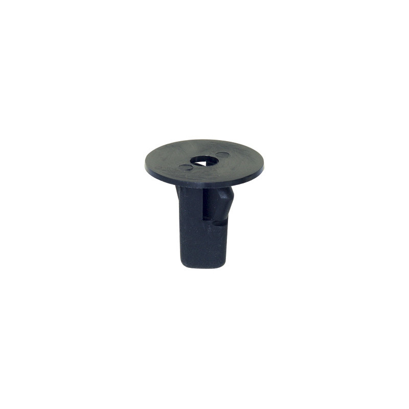 PLASTIC MOER WIELBEHUIZING / SPATLAP