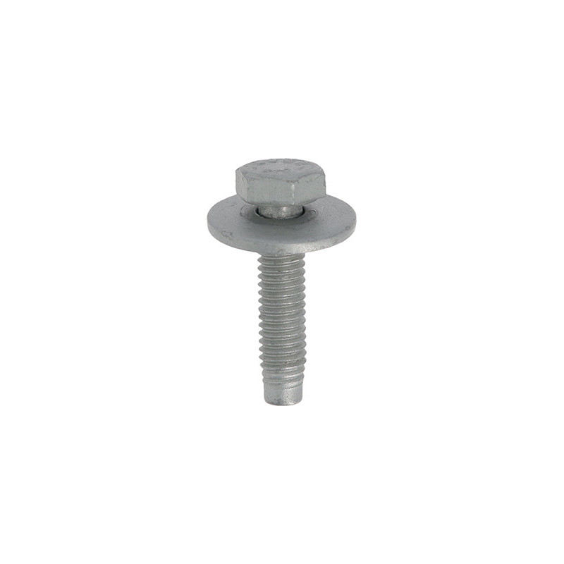 SCHROEF MET ZESKANTKOP EN SLUITRING M6-1.00 X 25 mm