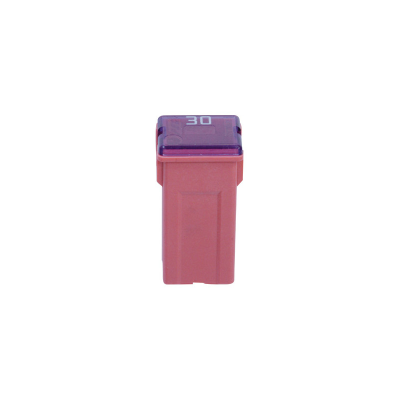 FLACHSICHERUNG JAPAN-TYP BUCHSE J-CASE 30A