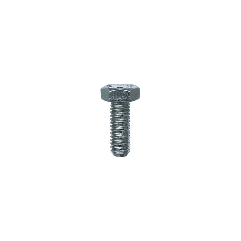 SCHROEF MET ZESKANTKOP H CL8.8 WIT ZINK M6-1.00 X 16 mm DIN 933