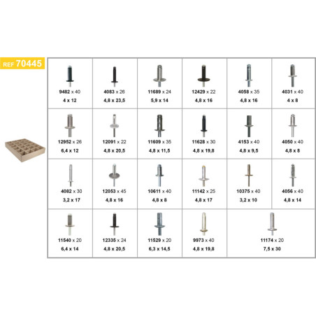 ASSORTMENT TRAY OF BODYWORK SPECIFIC RIVETS CITROËN - PEUGEOT - RENAULT