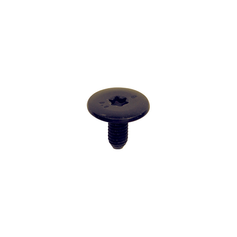 SCHROEF MET BREDE GEWELFDE CILINDRISCHE ZESKANTKOP  M6-1.00 X 13,5 mm PORTIERSLUITING