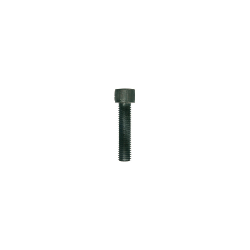 CILINDERKOPSCHROEF MET BINNENZESKANT MET LAGE KOP CL8.8 ZWART ZINK M12-1.75 X 50 mm DIN 912
