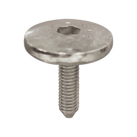SCHROEF MET BREDE GEWELFDE CILINDRISCHE ZESKANTKOP  M6-1.00 X 22 mm VOORSCHERM