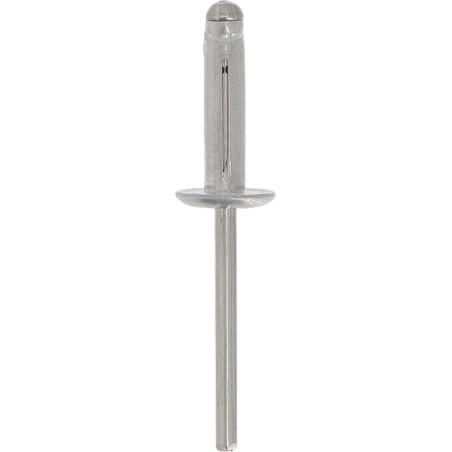 ALUMINIUM GELAKTE SLAGNAGEL MET BREDE KOP  Ø 4,8 X 19,8 mm