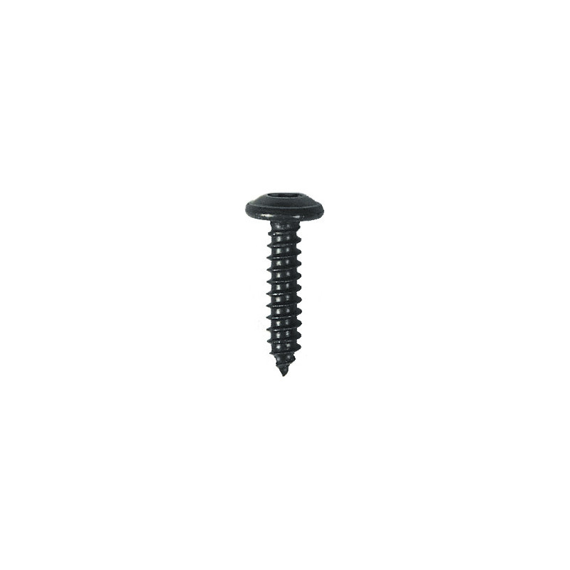 RONDE BREDE PLAATSCHROEF MET ZESKANTKOP ZWART ZINK Ø 4,2 X 19 mm NFE 25-655