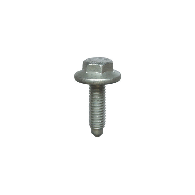 SCHROEF MET ZESKANTKOP EN FLENS  M6-1.00 X 20 mm