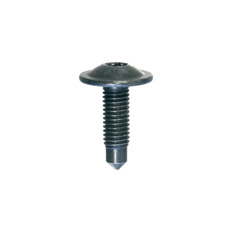 SCHROEF MET BREDE GEWELFDE CILINDRISCHE ZESKANTKOP  M8-1.25 X 26,5 mm PORTIERSCHARNIER