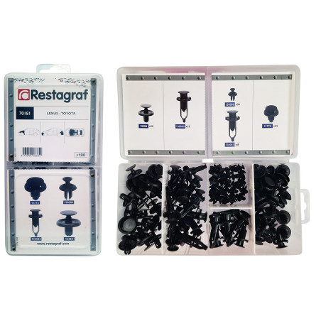 MINI-COFFRET D'ASSORTIMENT DE RIVETS PLASTIQUES TYPE LEXUS TOYOTA