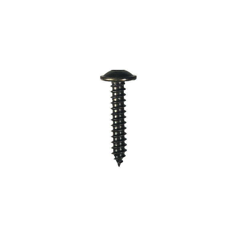 RONDE BREDE PLAATSCHROEF MET ZESKANTKOP ZWART ZINK Ø 4,8 X 25 mm NFE 25-655