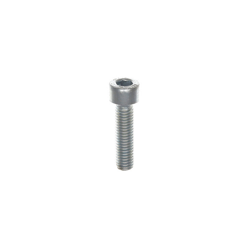 VIS À MÉTAUX TÊTE CHC CL8.8 ZN BLANC M5-0.80 X 20 mm DIN 912