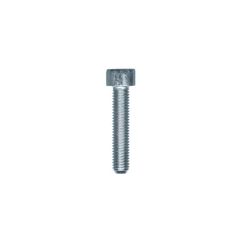 VIS À MÉTAUX TÊTE CHC CL8.8 ZN BLANC M5-0.80 X 25 mm DIN 912