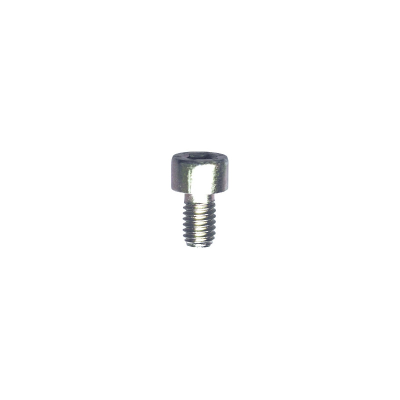 VIS À MÉTAUX TÊTE CHC CL8.8 ZN BLANC M6-1.00 X 10 mm DIN 912