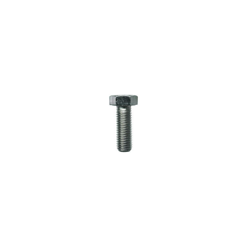 SCHROEF MET ZESKANTKOP H CL8.8 WIT ZINK M14-2.00 X 40 mm DIN 933