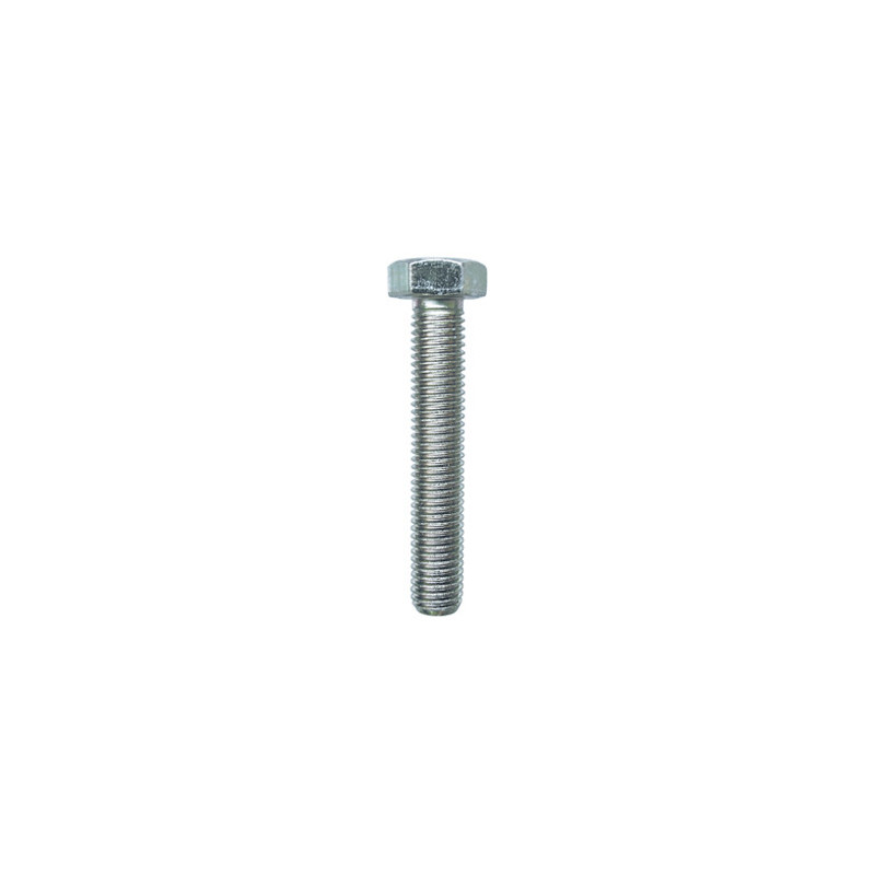 SCHROEF MET ZESKANTKOP H CL8.8 WIT ZINK M14-2.00 X 80 mm DIN 933