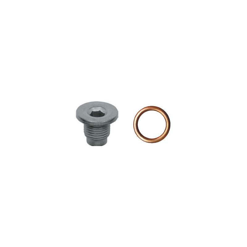 ÖLABLASSSCHRAUBE M16-1,50 X 17 mm MIT UNMONTIERTEM DICHTRING