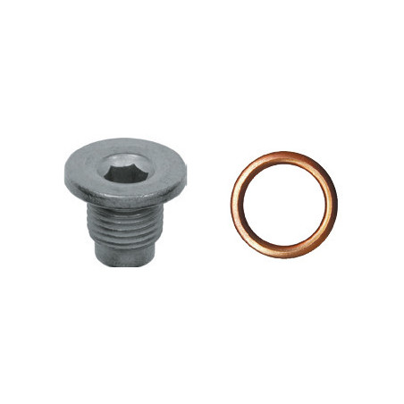 OLIE-AFTAPPLUG  M16-1,50 X 17 mm MET ONGEMONTEERDE AFDICHTINGSRING