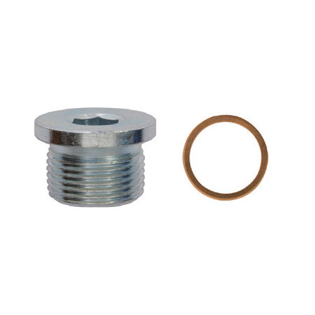 OLIE-AFTAPPLUG  M22-1,50 X 14 mm MET ONGEMONTEERDE AFDICHTINGSRING