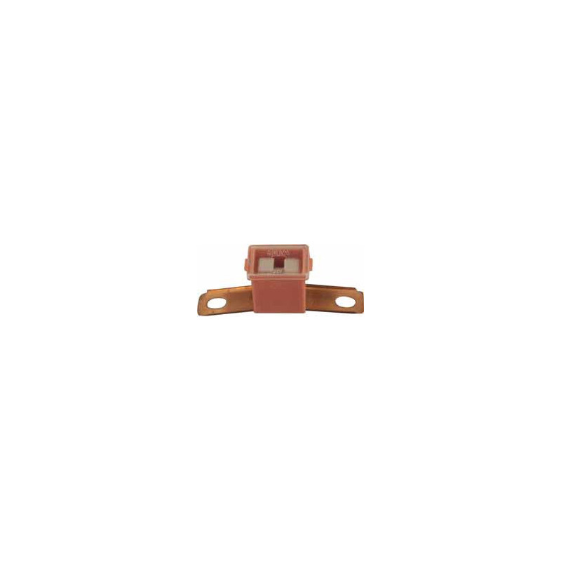 C TYPE MALE JAPANESE FUSE 30A