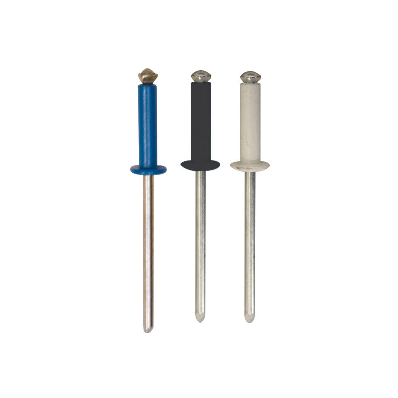 ASSORTIMENT GELAKTE BLINDKLINKNAGELS  Ø 4 X 16 mm NUMMERPLAAT