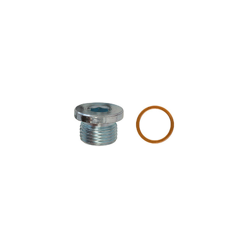 OLIE-AFTAPPLUG  M18-1,50 X 12 mm MET ONGEMONTEERDE AFDICHTINGSRING