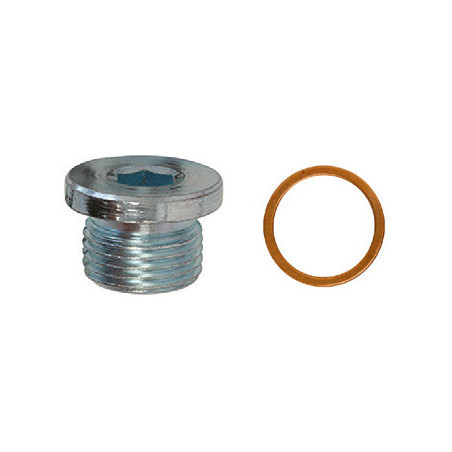 OLIE-AFTAPPLUG  M18-1,50 X 12 mm MET ONGEMONTEERDE AFDICHTINGSRING