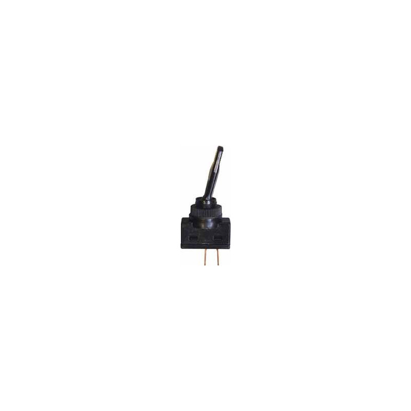 TUIMELSCHAKELAAR  Ø 12 mm 12 V - 10 A (2 PENNEN)