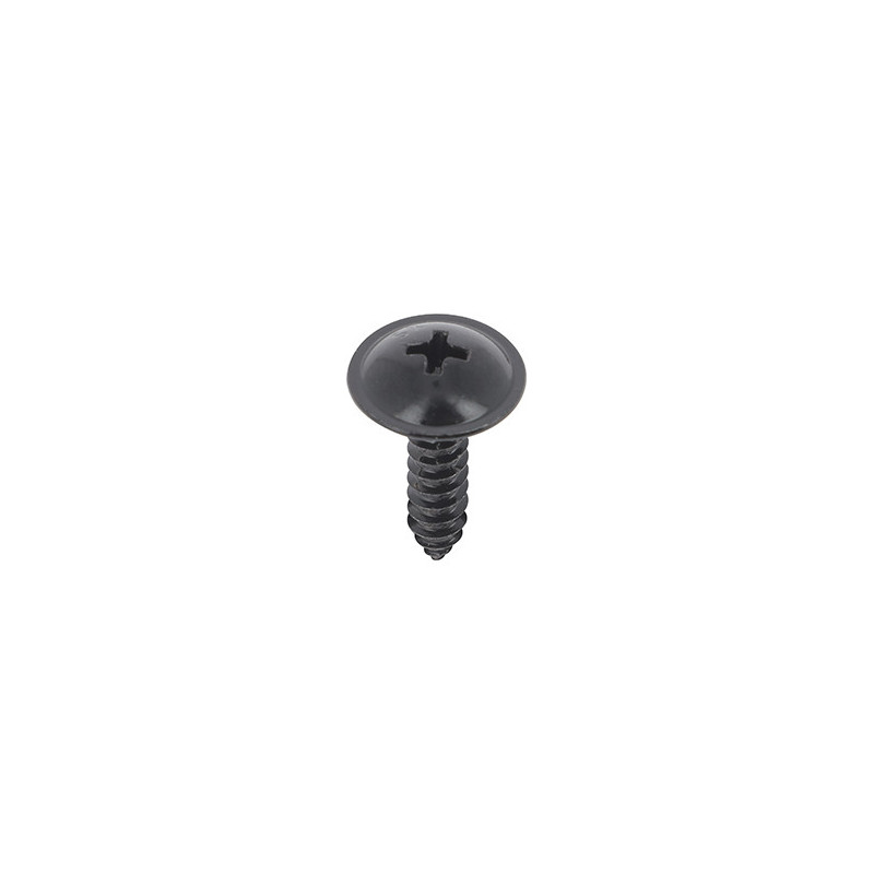 BLACK ZINC PLATED TRUSS HEAD SCREW Ø 5 x 20 mm