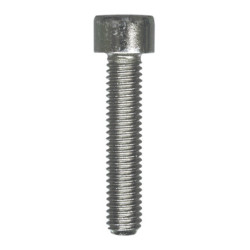CILINDERKOPSCHROEF MET BINNENZESKANT MET LAGE KOP CL8.8 WIT ZINK M6-1.00 X 30 mm DIN 912