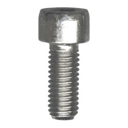 CILINDERKOPSCHROEF MET BINNENZESKANT MET LAGE KOP CL8.8 WIT ZINK M8-1.25 X 20 mm DIN 912