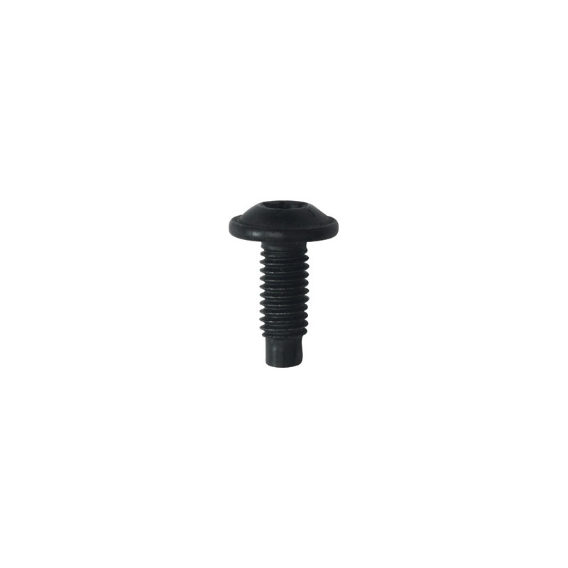 RONDE BREDE SCHROEF MET ZESKANTKOP ZWART ZINK M6-1.00 X 16 mm CARROSSERIE