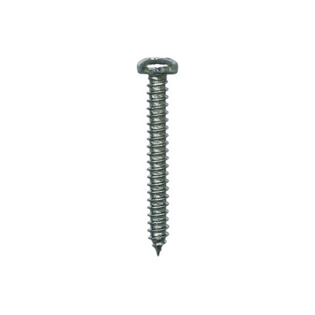 ZELFTAPPENDE SCHROEF MET GEWELFDE CILINDERKOP WIT ZINK Ø 3,9 X 32 mm DIN 7981