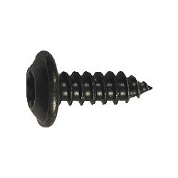 BLACK ZINC PLATED TRUSS HEAD SELF TAPPING SCREW Ø 4,2 x 13 mm NFE 25-655