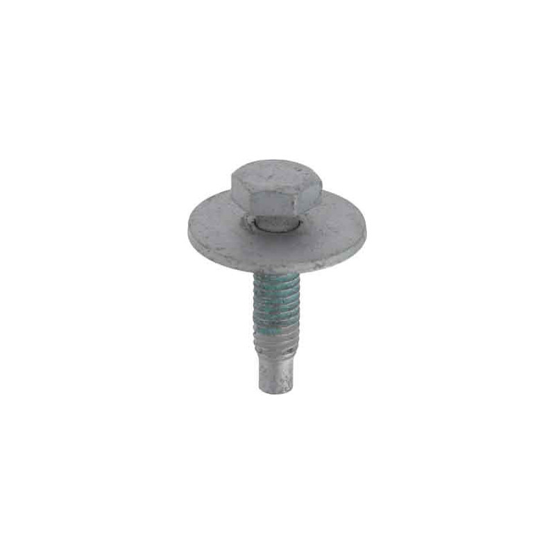 ZESKANTBOUT MET ONVERLIESBARE SLUITRING EN SCHROEFDRAADBORGING M6-1,00 x 25 mm