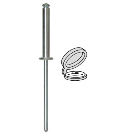 PEELED RIVET Ø 4 X 26 mm WITH WHITE CHAPO® FOR NUMBERPLATE PEELED RIVET Ø 4 X 26 mm WITH WHITE CHAPO® FOR NUMBERPLATE