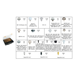 COFFRET D'ASSORTIMENT D'AGRAFES DE PANNEAUX DE GARNITURE DE PORTE TYPE CITROËN-PEUGEOT
