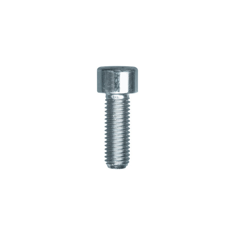 CILINDERKOPSCHROEF MET BINNENZESKANT MET LAGE KOP CL8.8 WIT ZINK M10-1.50 X 30 mm DIN 912