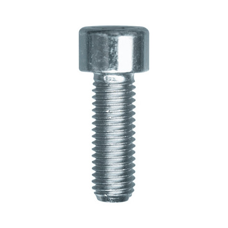 CILINDERKOPSCHROEF MET BINNENZESKANT MET LAGE KOP CL8.8 WIT ZINK M10-1.50 X 30 mm DIN 912