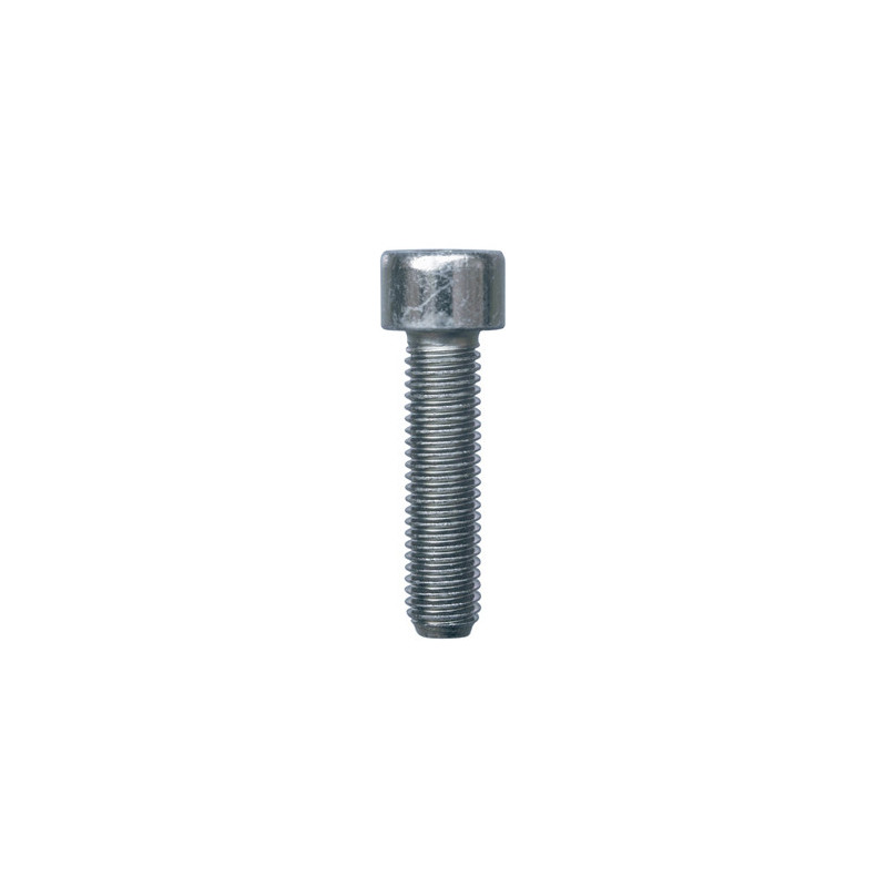 CILINDERKOPSCHROEF MET BINNENZESKANT MET LAGE KOP CL8.8 WIT ZINK M10-1.50 X 40 mm DIN 912
