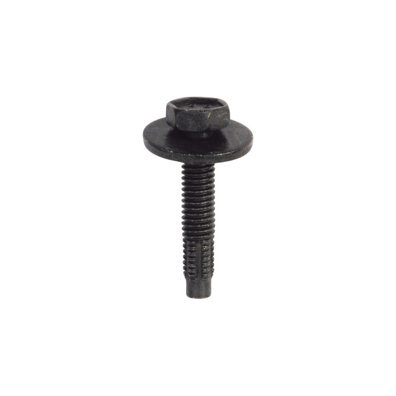 SCHROEF MET ZESKANTKOP EN SLUITRING M6-1.00 X 30 mm