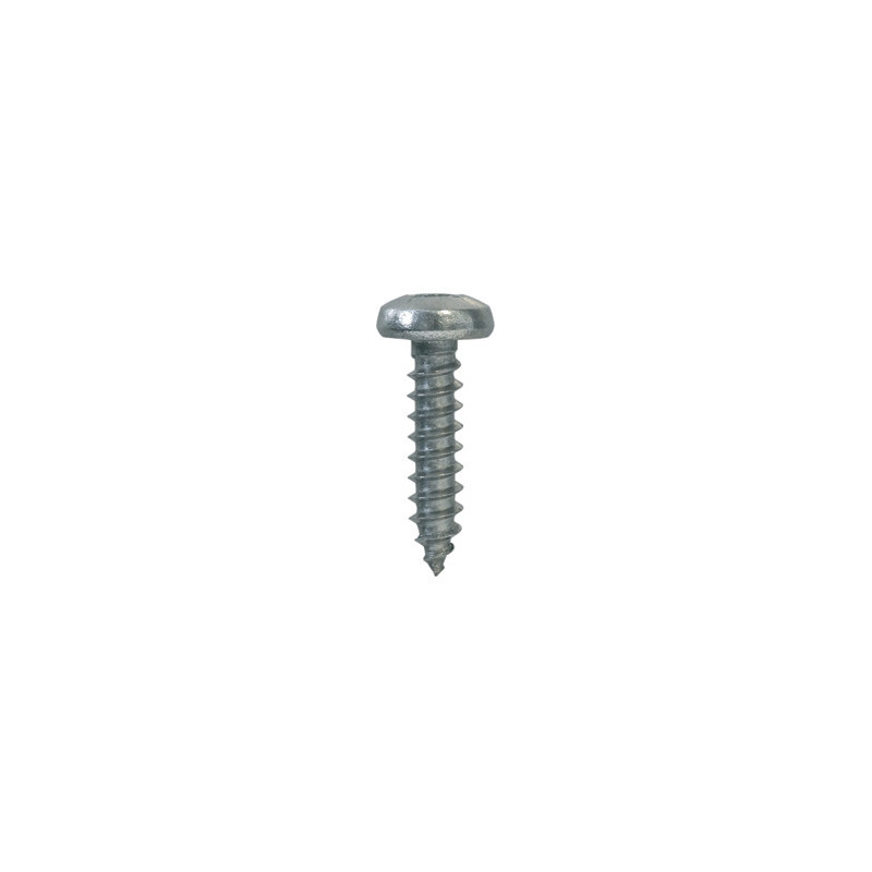 ZELFTAPPENDE SCHROEF MET GEWELFDE CILINDERKOP POZI INOX A4 Ø 4,2 X 19 mm DIN 7981