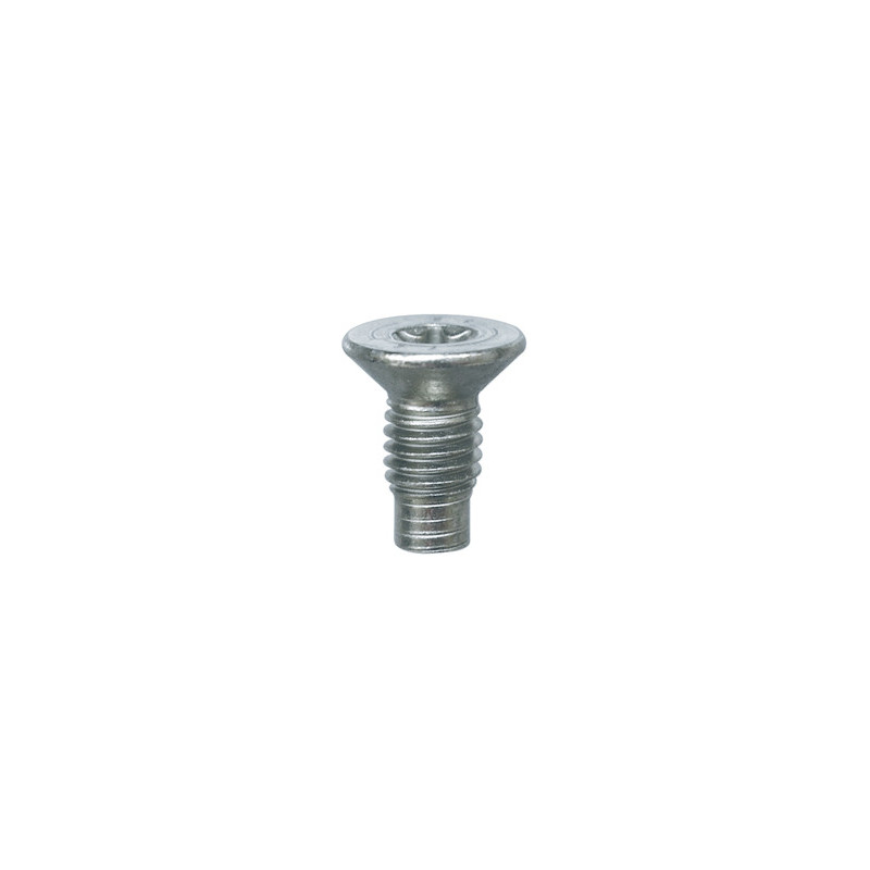 VERZONKEN SCHROEF  M8-1.25 X 17 mm REMSCHIJF
