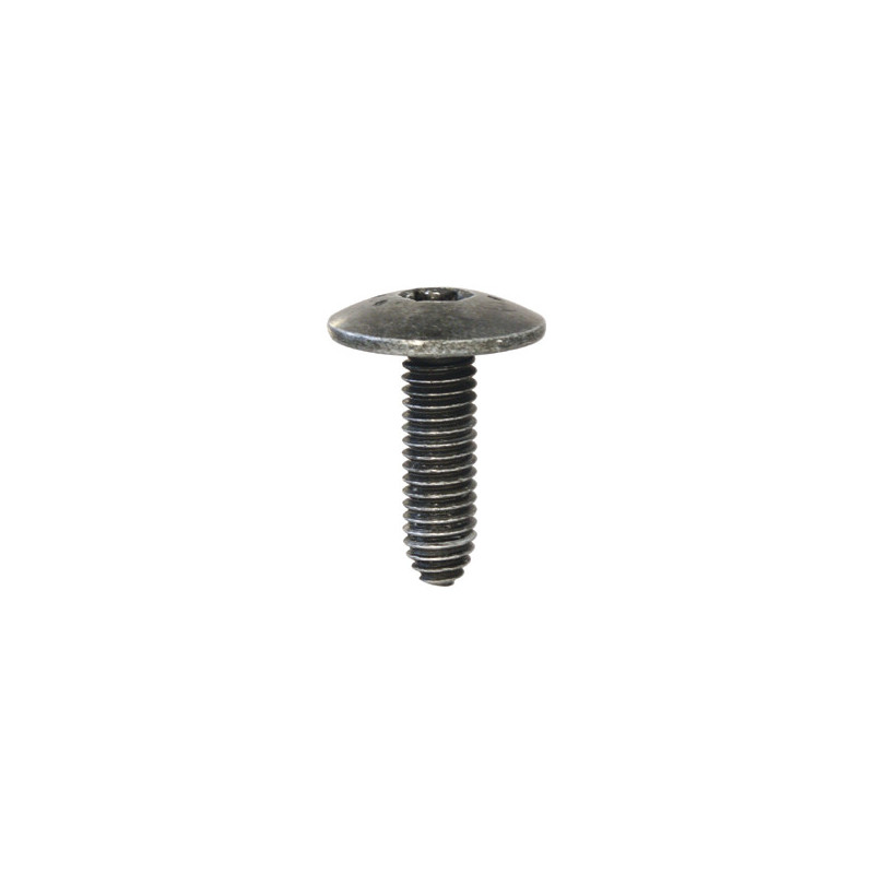 SCHROEF MET BREDE GEWELFDE CILINDRISCHE ZESKANTKOP ZWART ZINK  M6-1.00 X 20 mm BUMPER