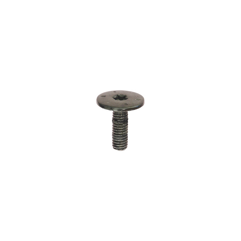 SCHROEF MET BREDE GEWELFDE CILINDRISCHE ZESKANTKOP ZWART ZINK  M6-1.00 X 18 mm PORTIERSLUITING