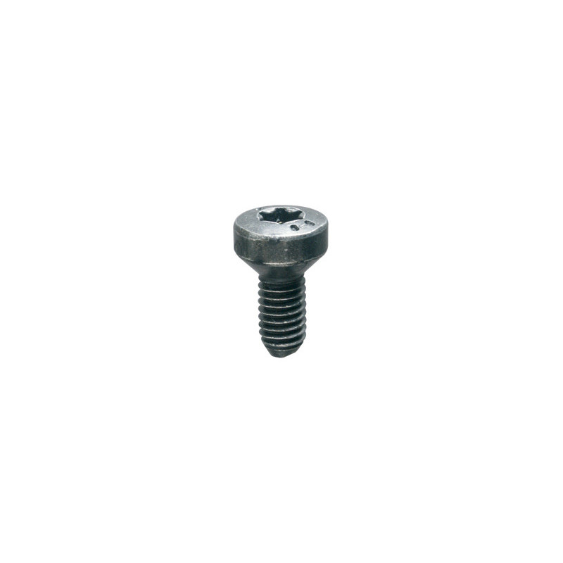 VERZONKEN SCHROEF ZWART ZINK  M6-1.00 X 18 mm PORTIERSLUITING