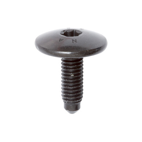 SCHROEF MET BREDE GEWELFDE CILINDRISCHE ZESKANTKOP ZWART ZINK  M6-1.00 X 20 mm BUMPER EN WIELBEHUIZING / SPATLAP
