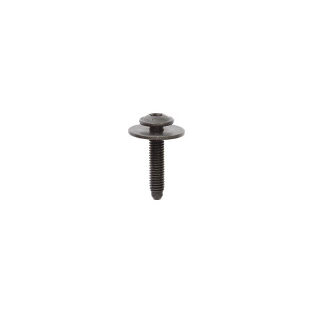 ZWART VERZINKTE TRUSSKOPSCHROEF MET SLUITRING M6-1,00 X 30 mm CARROSSERIE